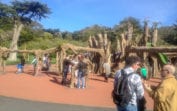 San Francisco Zoo