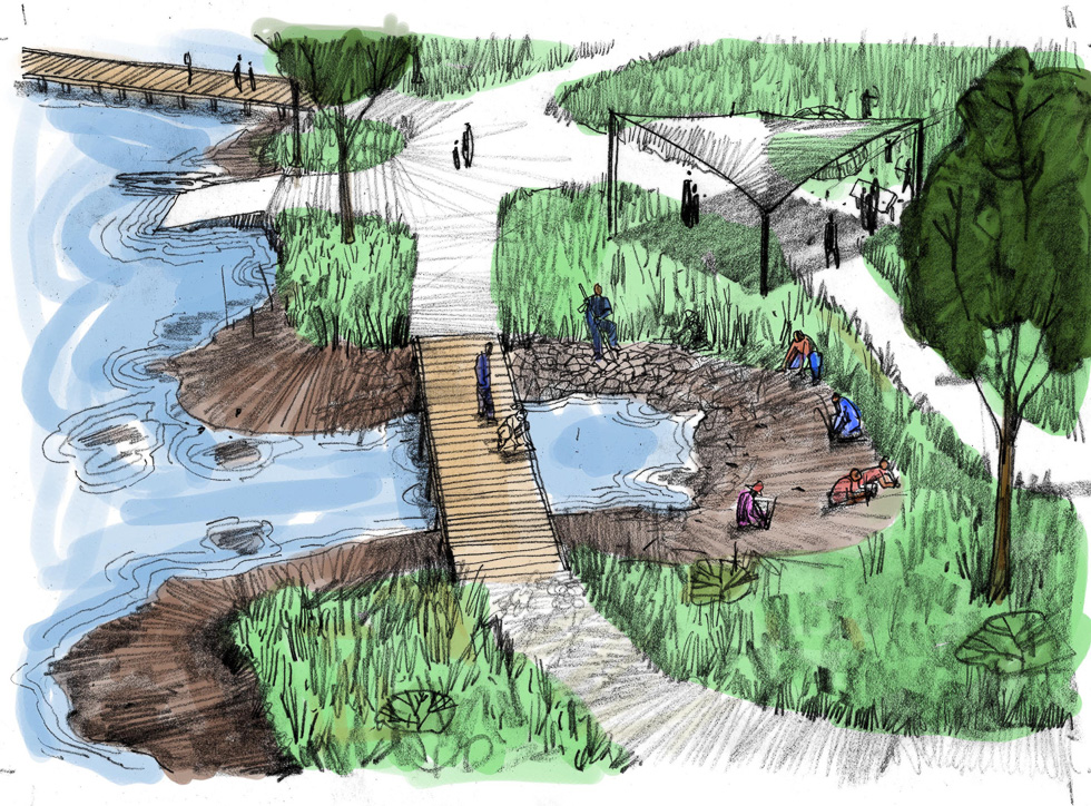 11_DD_wetland lab