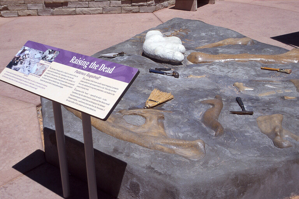 3_BW_Dig site