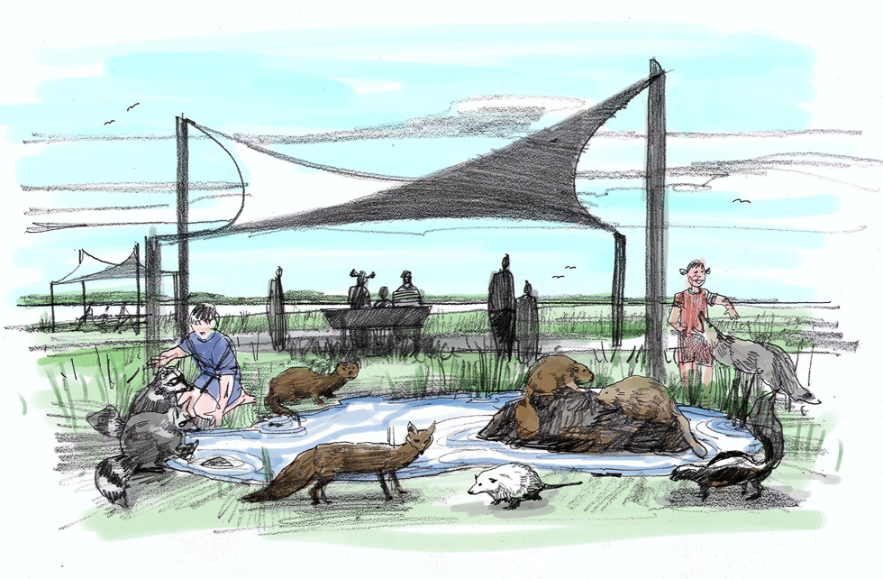 6_DD_Animals