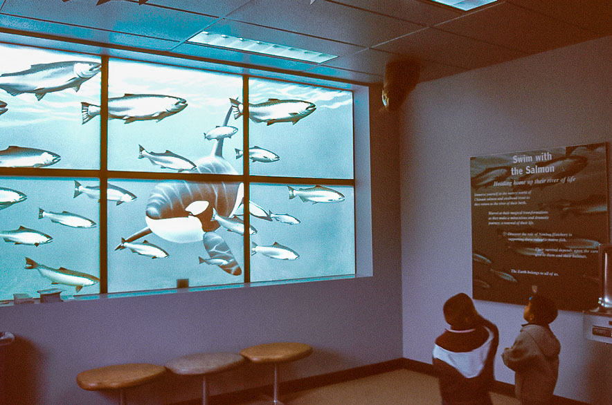 2-NH_entry mural