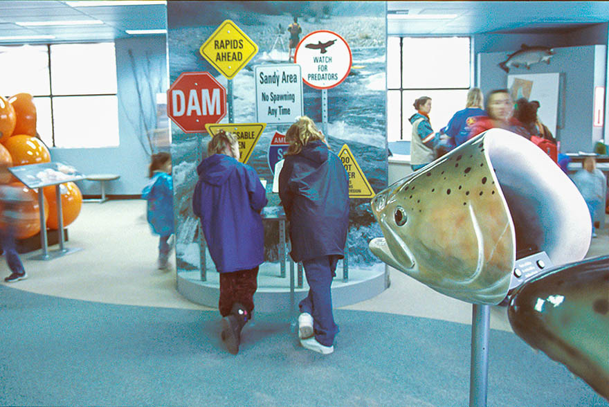 4-NH_Spawning hiway