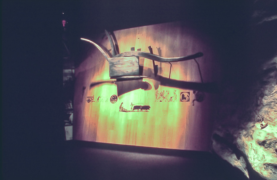 6_FM