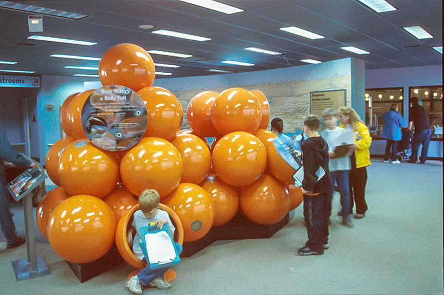 7-NH_Egg packet