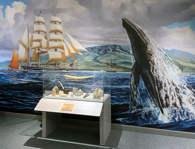 8-whalers